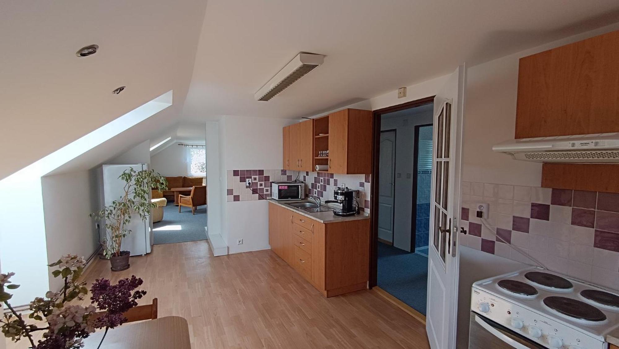 Apartment Vcelakov Екстер'єр фото